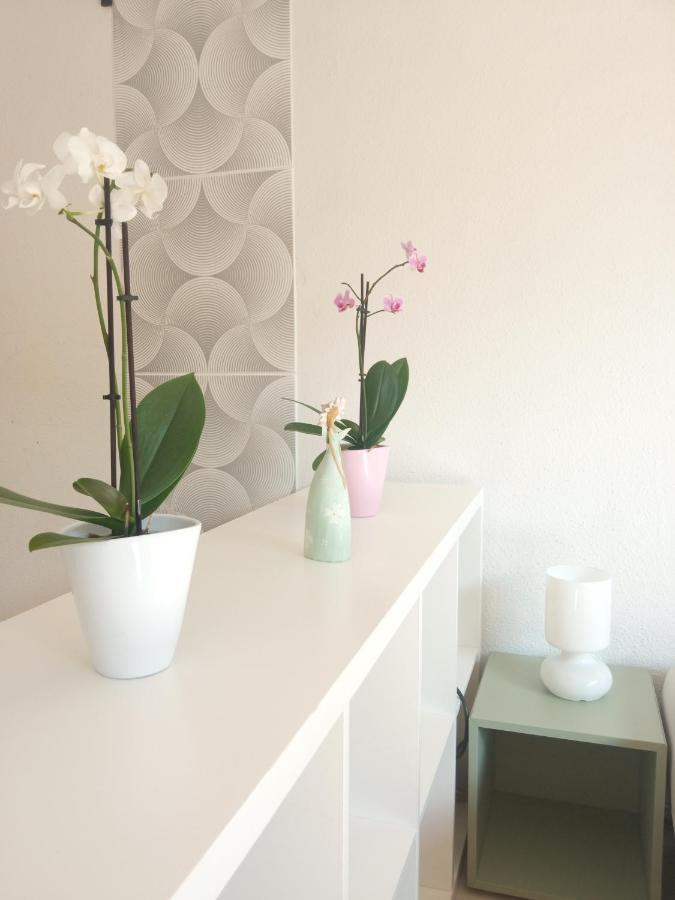 Homestay Free Parking, Balcony, Near To Park