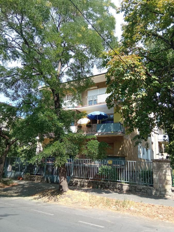 Free Parking, Balcony, Near To Park Homestay